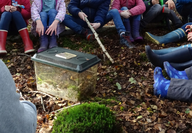 Kinder erforschen den Wald