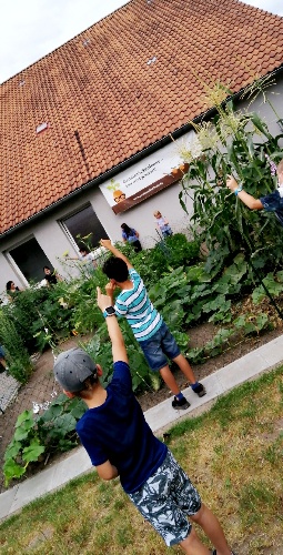 Im Zentrum des Fotos ist der Schulacker mit vielen unterschiedlichen Gemüsesorten zu sehen. Drum herum haben sich Schüler:innen versammelt, begutachten den Acker und melden sich.