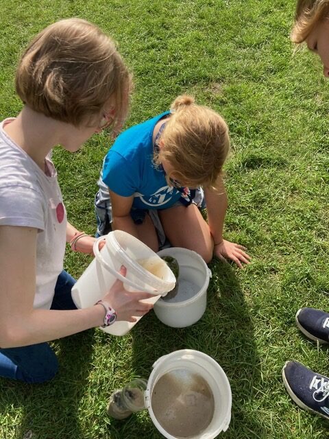 Die Schülerinnen und Schüler filtern Wasser um sauberes Wasser zu gewinnen