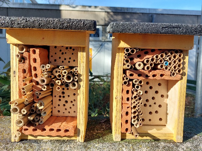 diese beiden Insektenhotels für Wildbienen und andere Insekten wurden gebaut.