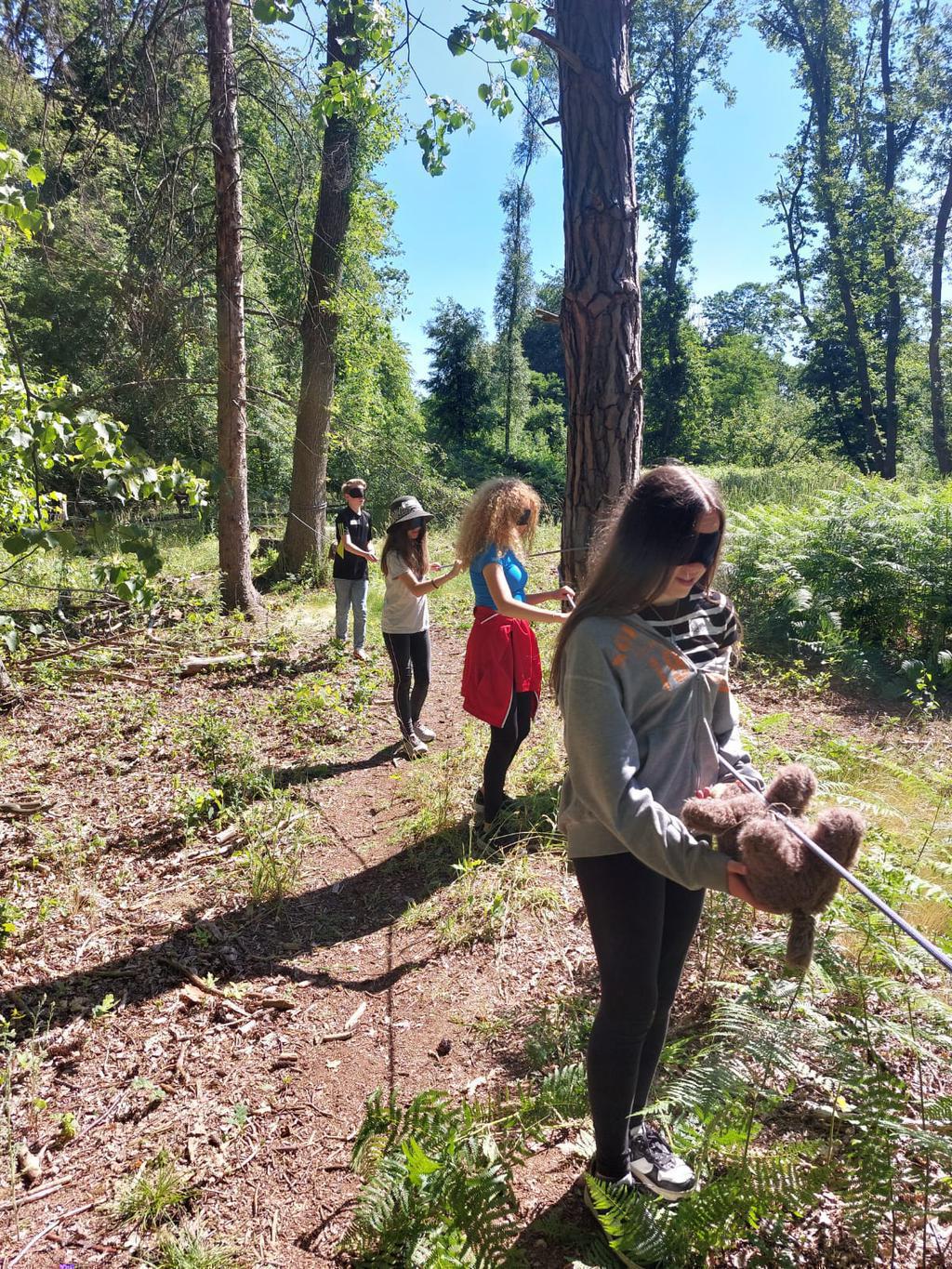 Mit allen Sinnen das Ökosystem Wald erleben