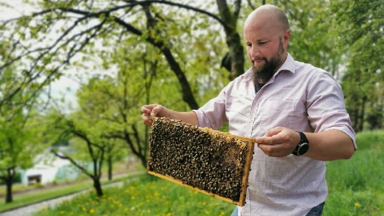 Zu sehen ist der Lehrer Christian Riedel, der eine Bienenwabe in der Hand hat mit zahlreichen Bienen.