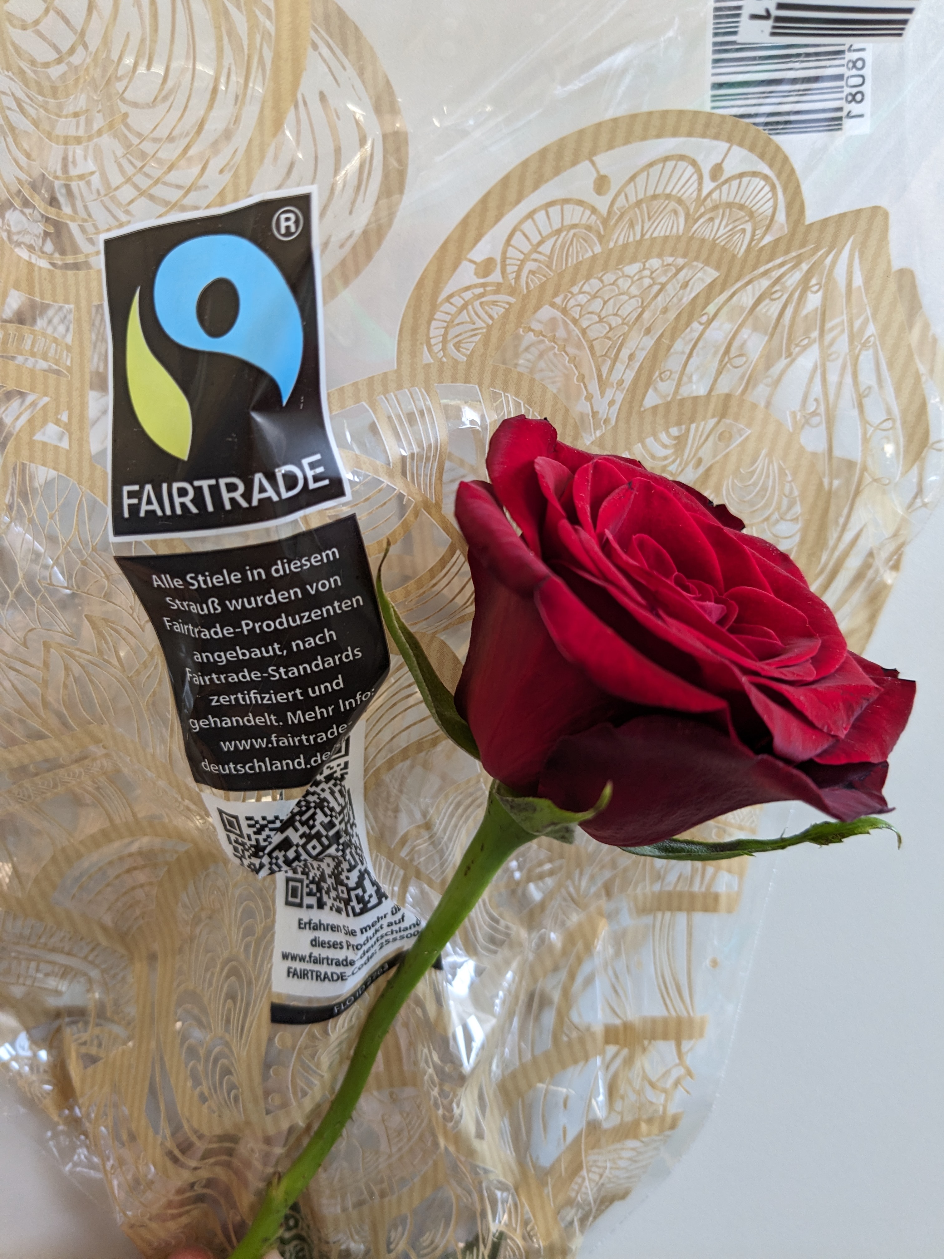 Rose mit Fairtradelogo