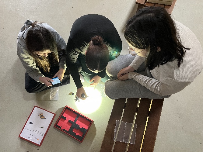Drei Schülerinnen sitzen auf dem Boden und beleuchten mit einer Taschenlampe den Boden.