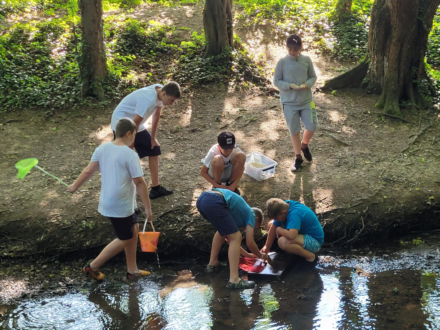 Schüler:innen stehen am Ufer und im Wasser der Swiat und untersuchen mit Eimern und Keschern die Wasserqualität des Flusses. Zudem werden Wassertiere bestimmt und gezählt. 