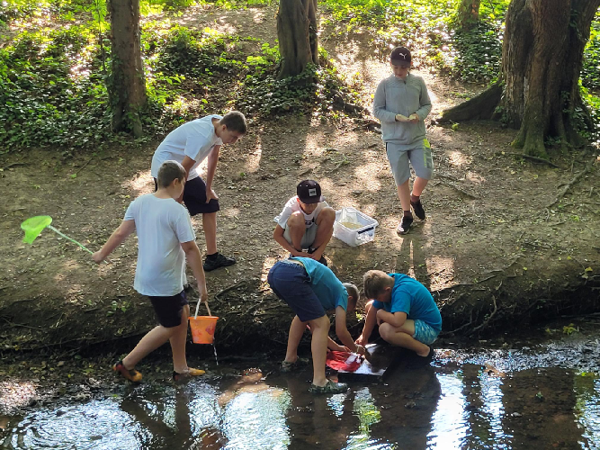 Schüler:innen stehen am Ufer und im Wasser der Swiat und untersuchen mit Eimern und Keschern die Wasserqualität des Flusses. Zudem werden Wassertiere bestimmt und gezählt. 