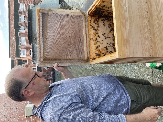 Der Fachlehrer Herr Bernd Heimann schaut in den Bienenstock eines der Bienen-Völker am RvW-BK