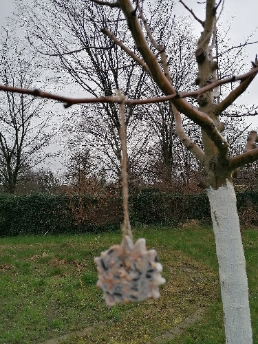 Ein Vogelfutterigel hängt an einer Schnur an einem jungen Baum im Schulgarten