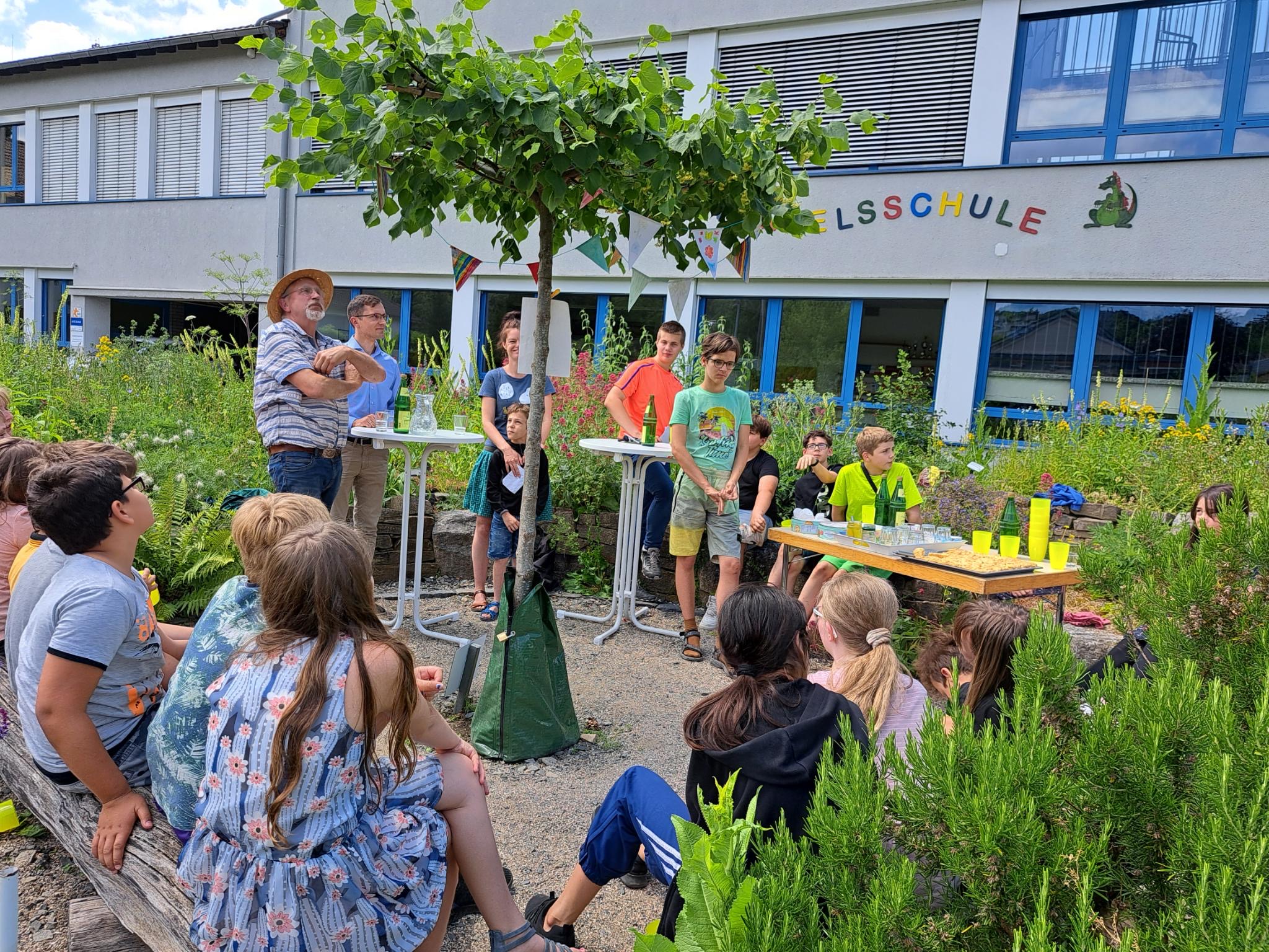 Naturgarten mit einer frisch gepflanzten Linde, Schüler:innen und Erwachsene rundherum, Tisch mit Getränken und Snacks