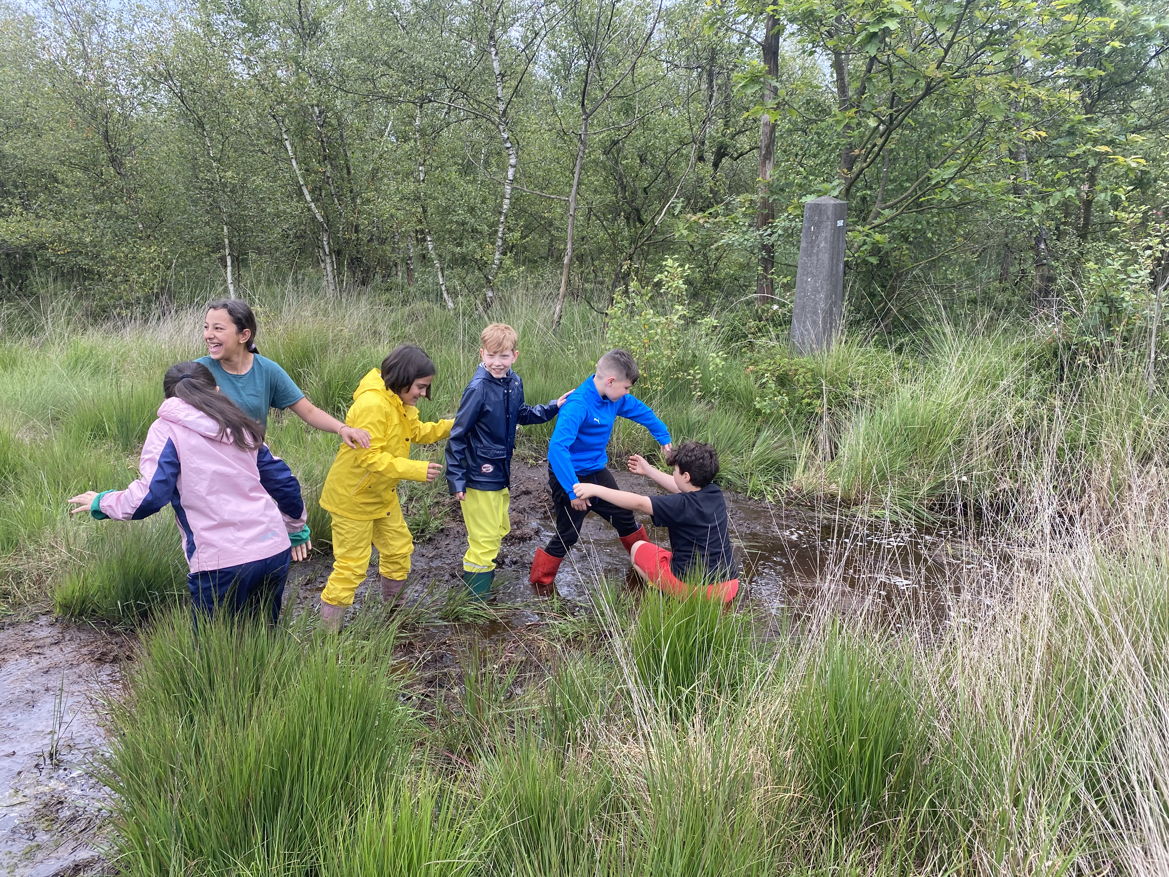 Kinder wandern durchs Moor