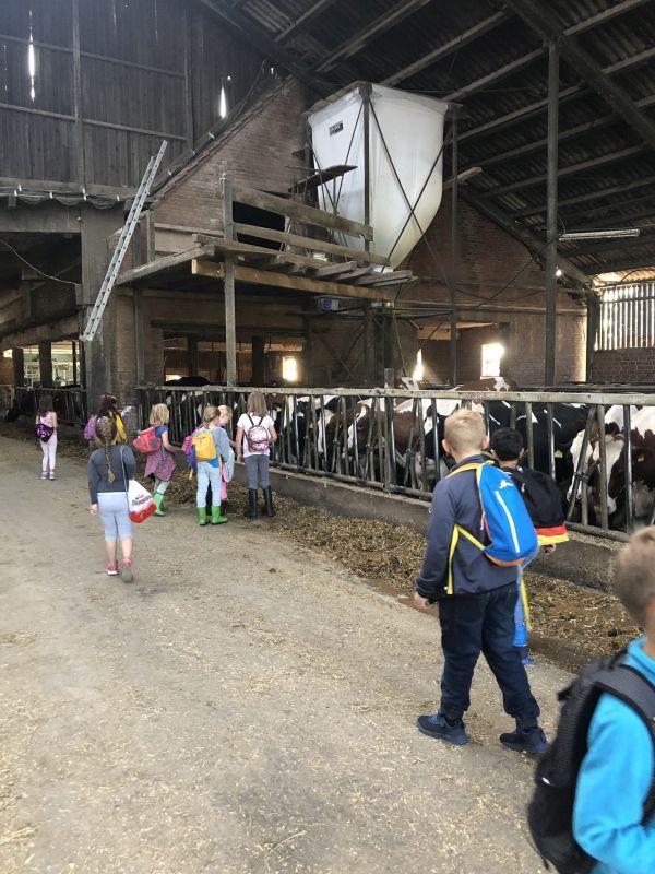 Die Kinder konnten mit allen Sinnen das Lebensumfeld von Bauernhoftieren erfahren 