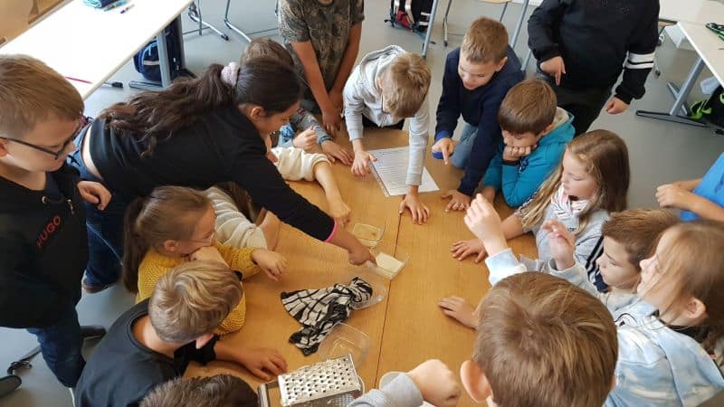 Die Kinder entdecken die Stärke der Kartoffel. 