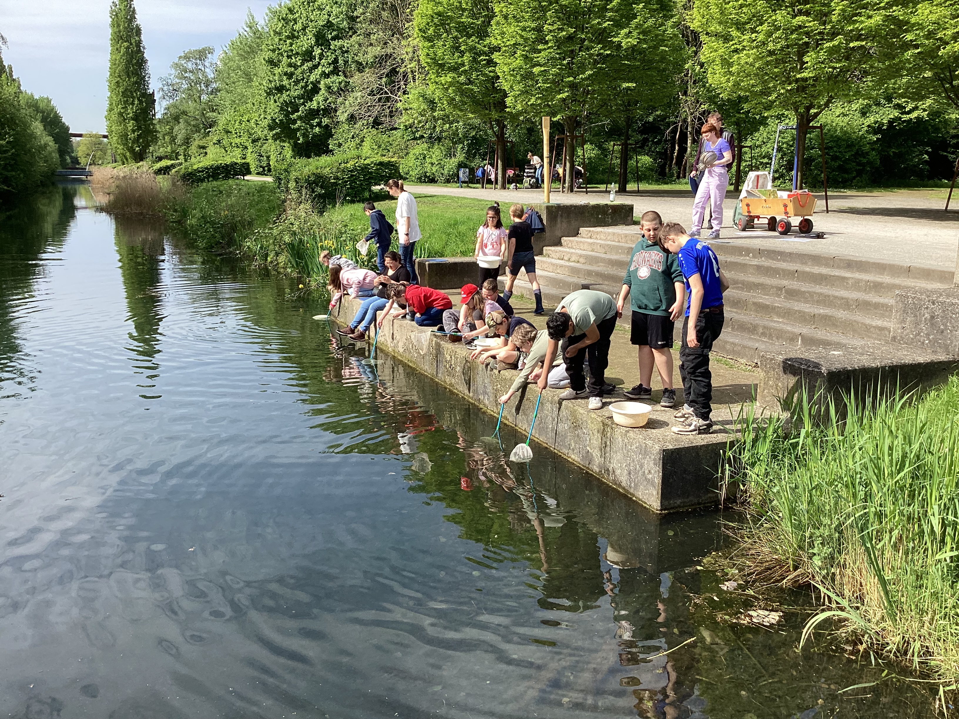 Es ist ein Fluß zu sehen. Das Ufer besteht aus einer Betontreppe. Hier hocken, liegen oder stehen Kinder, die mit Käschern das Wasser untersuchen.