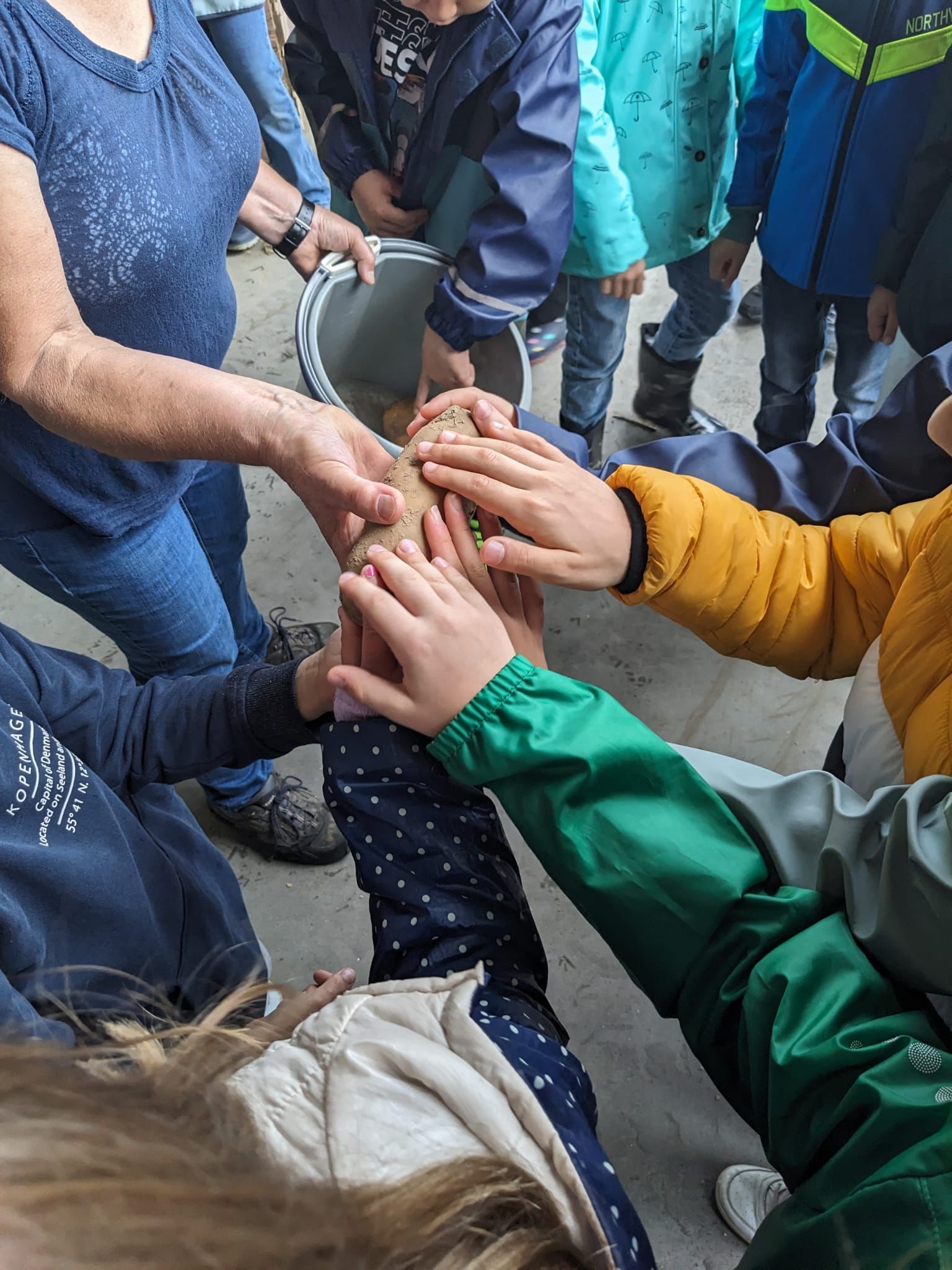 Kinder halten Kartoffel in ihren Händen