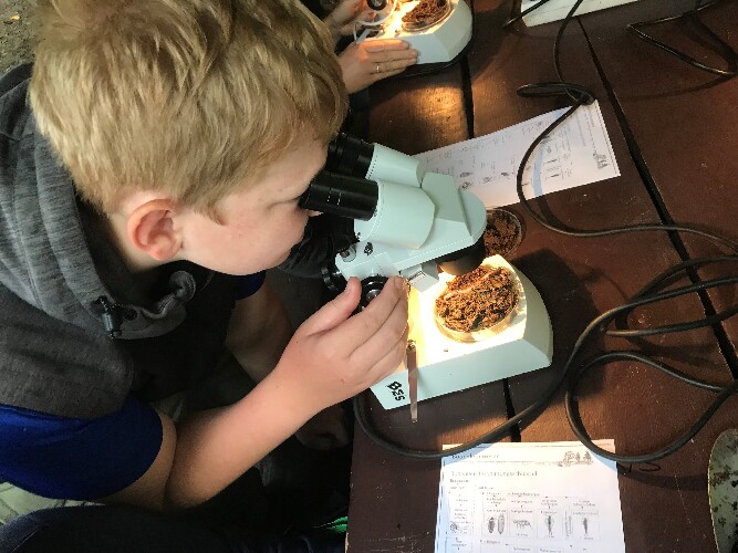Ein Schüler mikroskopiert Erde.